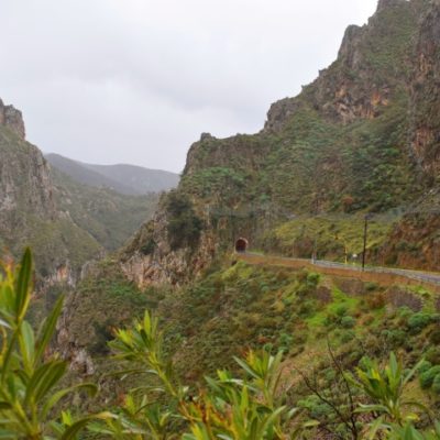 ????????????????????????????????????